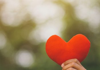 Vecvecāki un krustvecāki priecājās “Saulītēs”